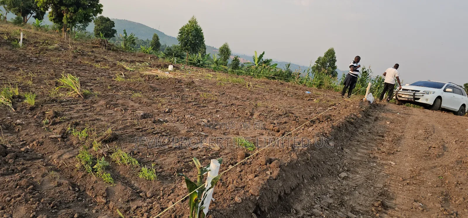 Am Challenging You That 2 M Ugx Can Get a Plot of Land at Kakiri in Wakiso / Wakiso