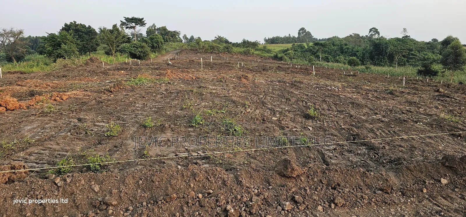 Only 5 Plots Still Stand Up For Sale At Gobero in Wakiso / Wakiso
