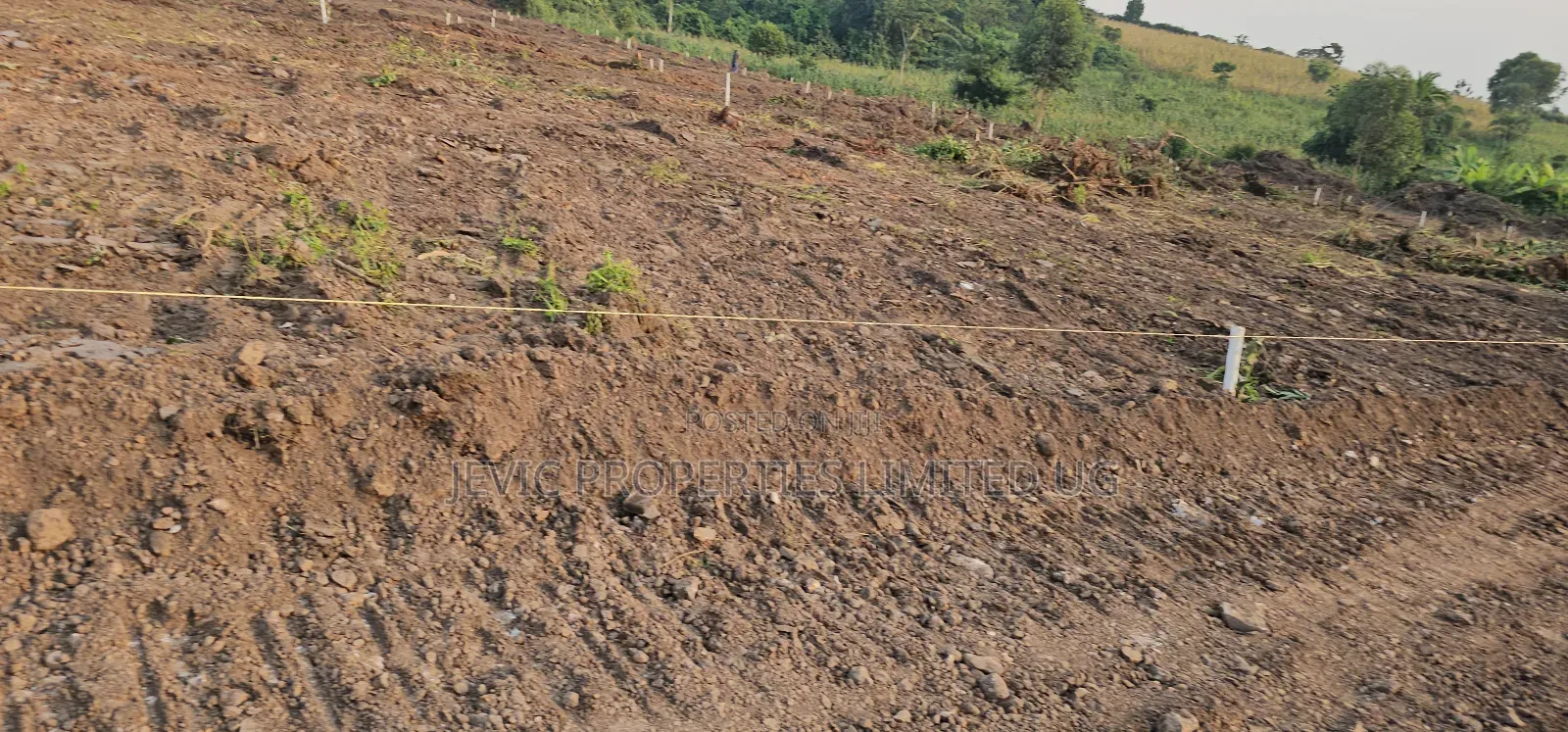 Only 5 Plots Still Stand Up For Sale At Gobero in Wakiso / Wakiso