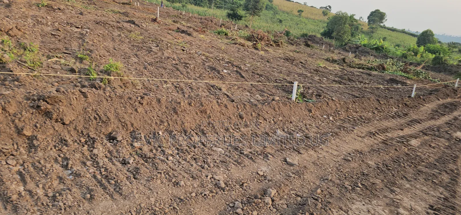 Only 5 Plots Still Stand Up For Sale At Gobero in Wakiso / Wakiso