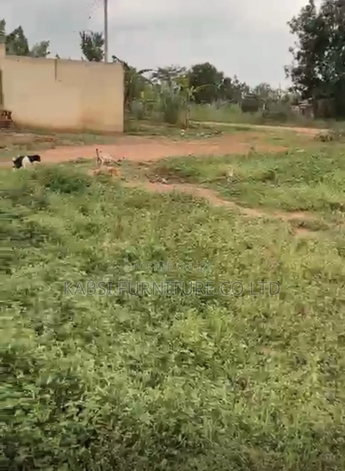 Plot for Sale in Nalusugga Kasangati Town Council in Nangabo