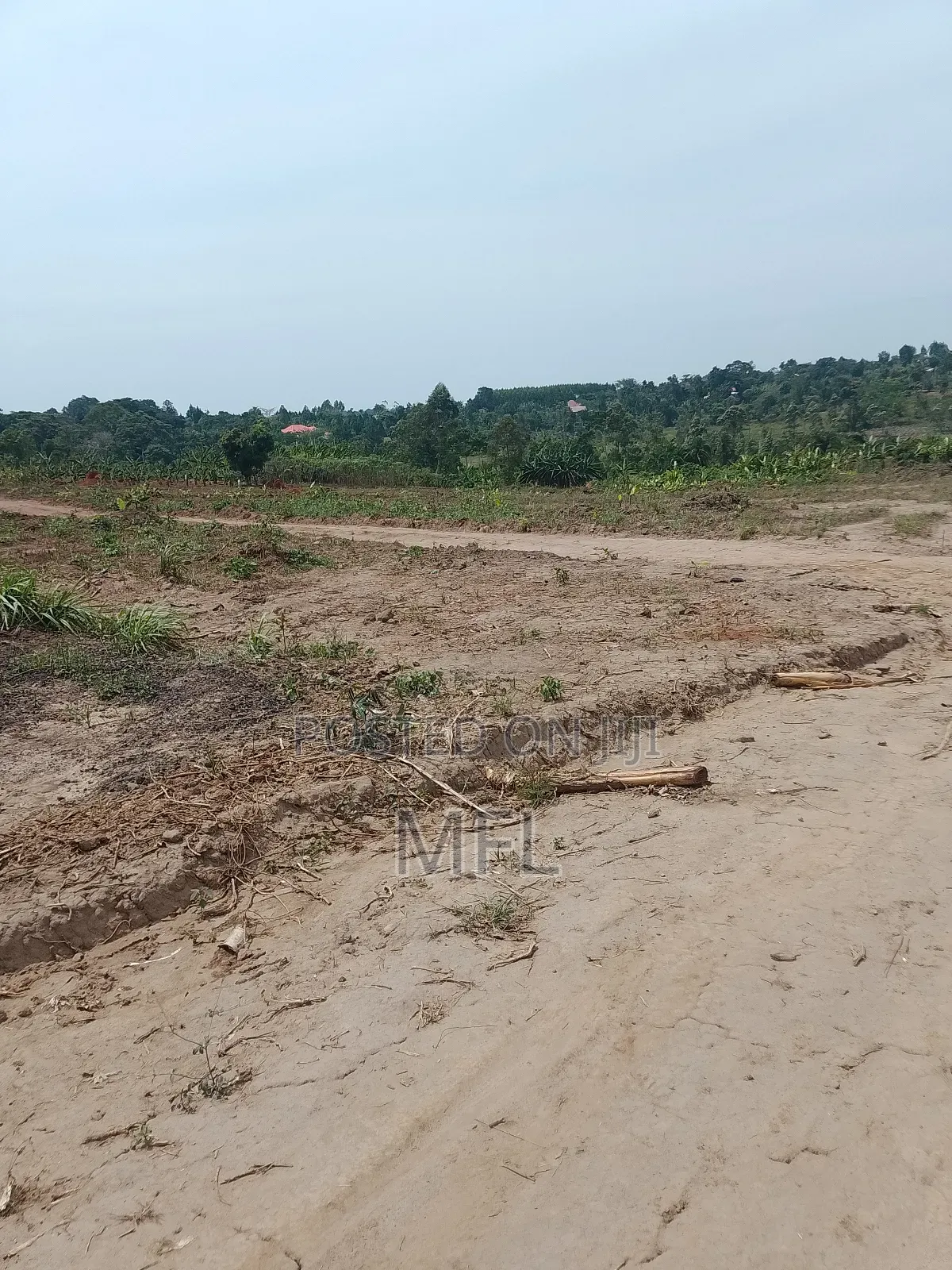 Gobero Lutisi Titled Land 50*100ft in Wakiso / Wakiso