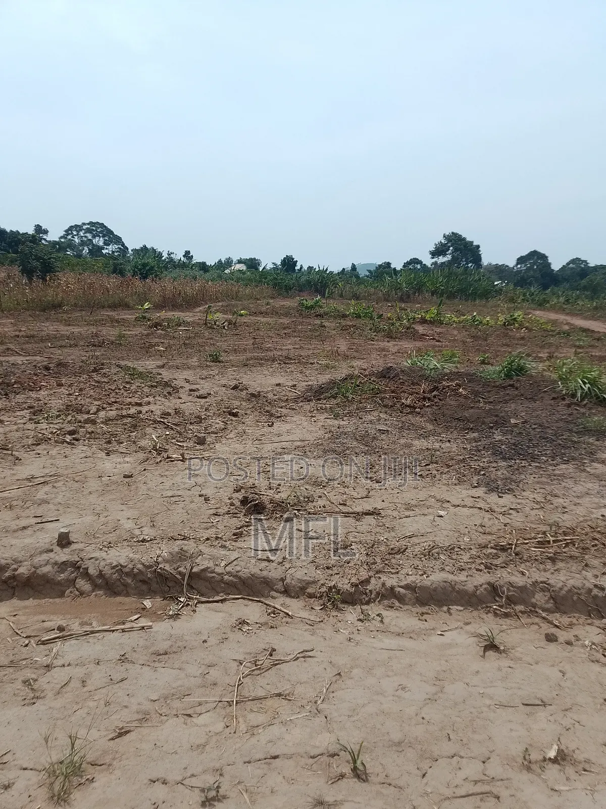 Gobero Lutisi Titled Land 50*100ft in Wakiso / Wakiso