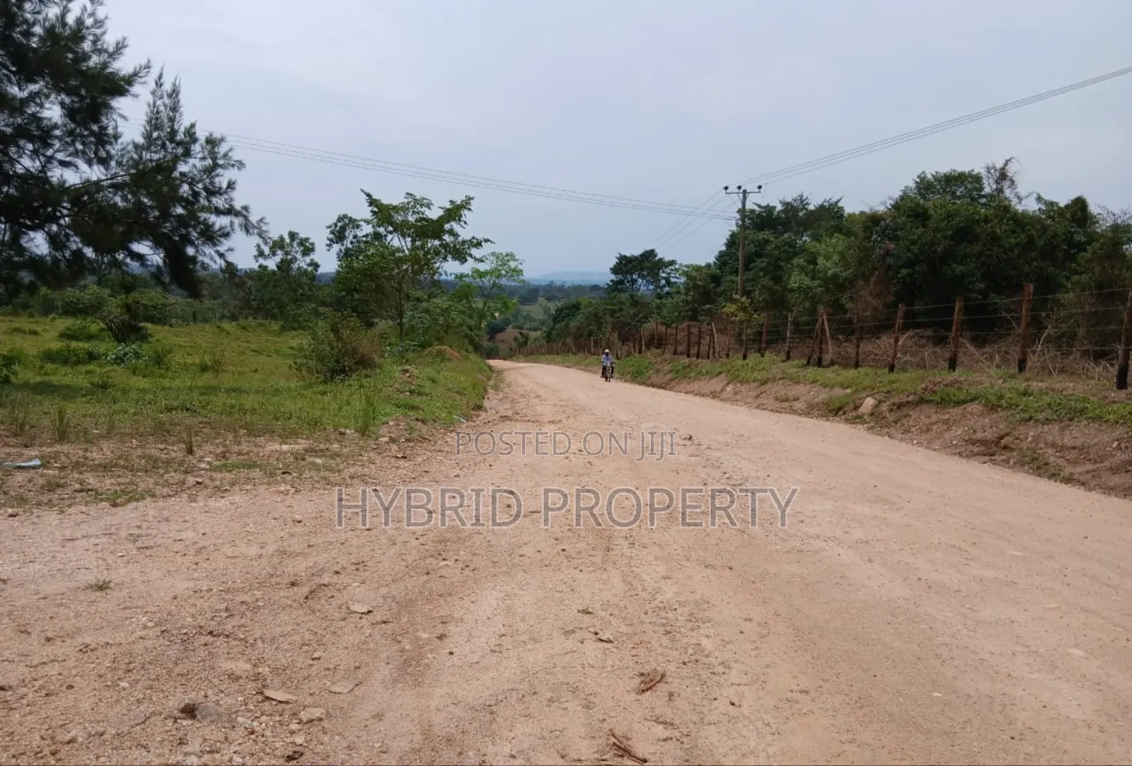 62acres of Fertile Land for Sale at Mikka~Busunju Along Hoima Road. in Namayumba