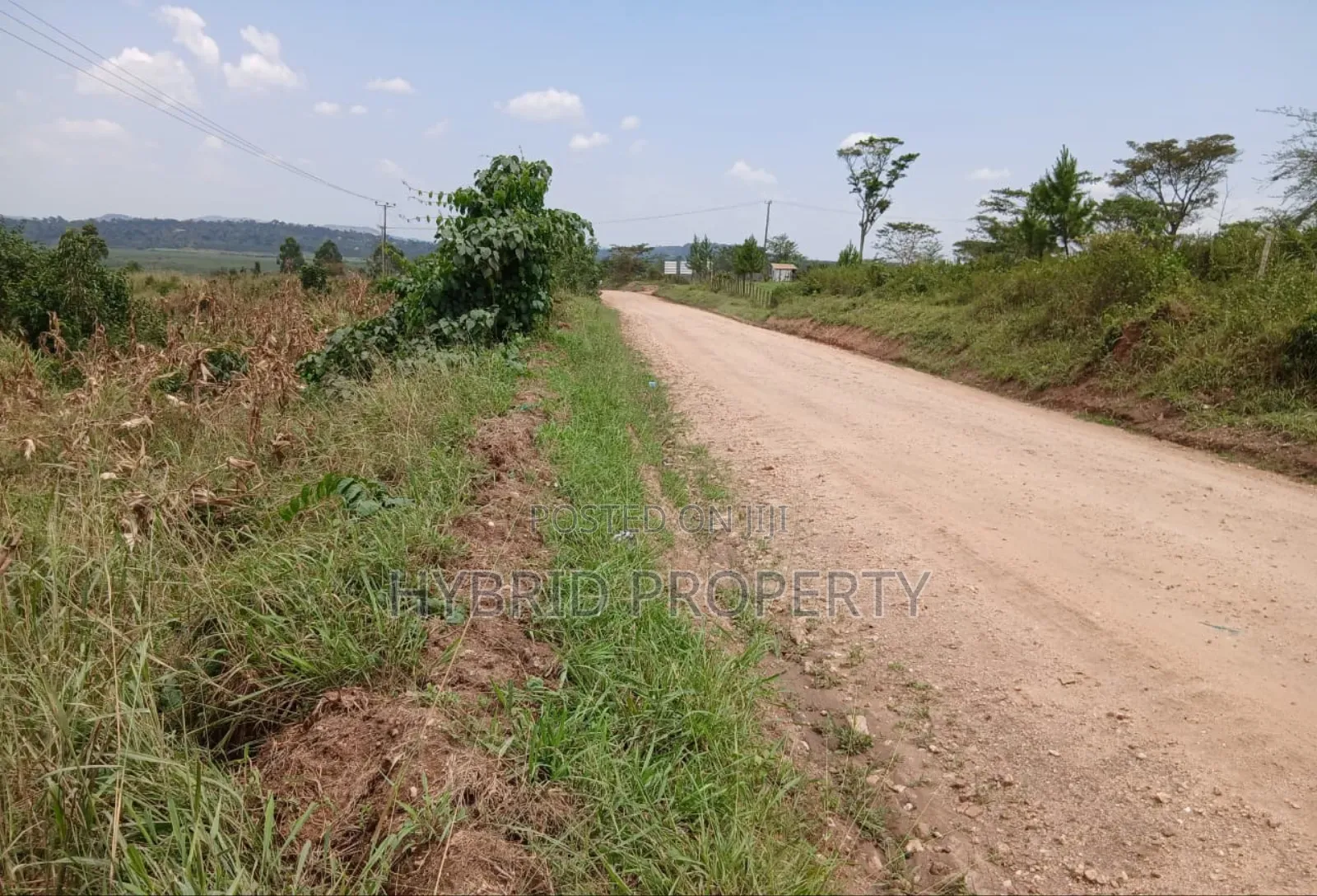 62acres of Fertile Land for Sale at Mikka~Busunju Along Hoima Road. in Namayumba