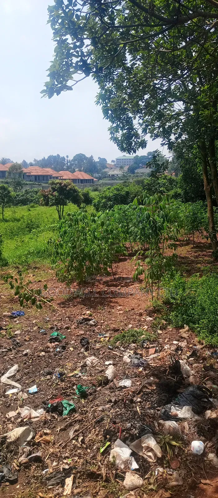 1 Acre of Land in Jinja Misindye After Namugongo in Central Division