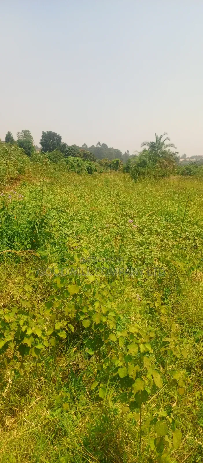 1 Acre of Land in Jinja Misindye After Namugongo in Central Division