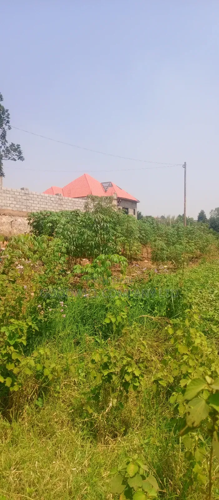 1 Acre of Land in Jinja Misindye After Namugongo in Central Division