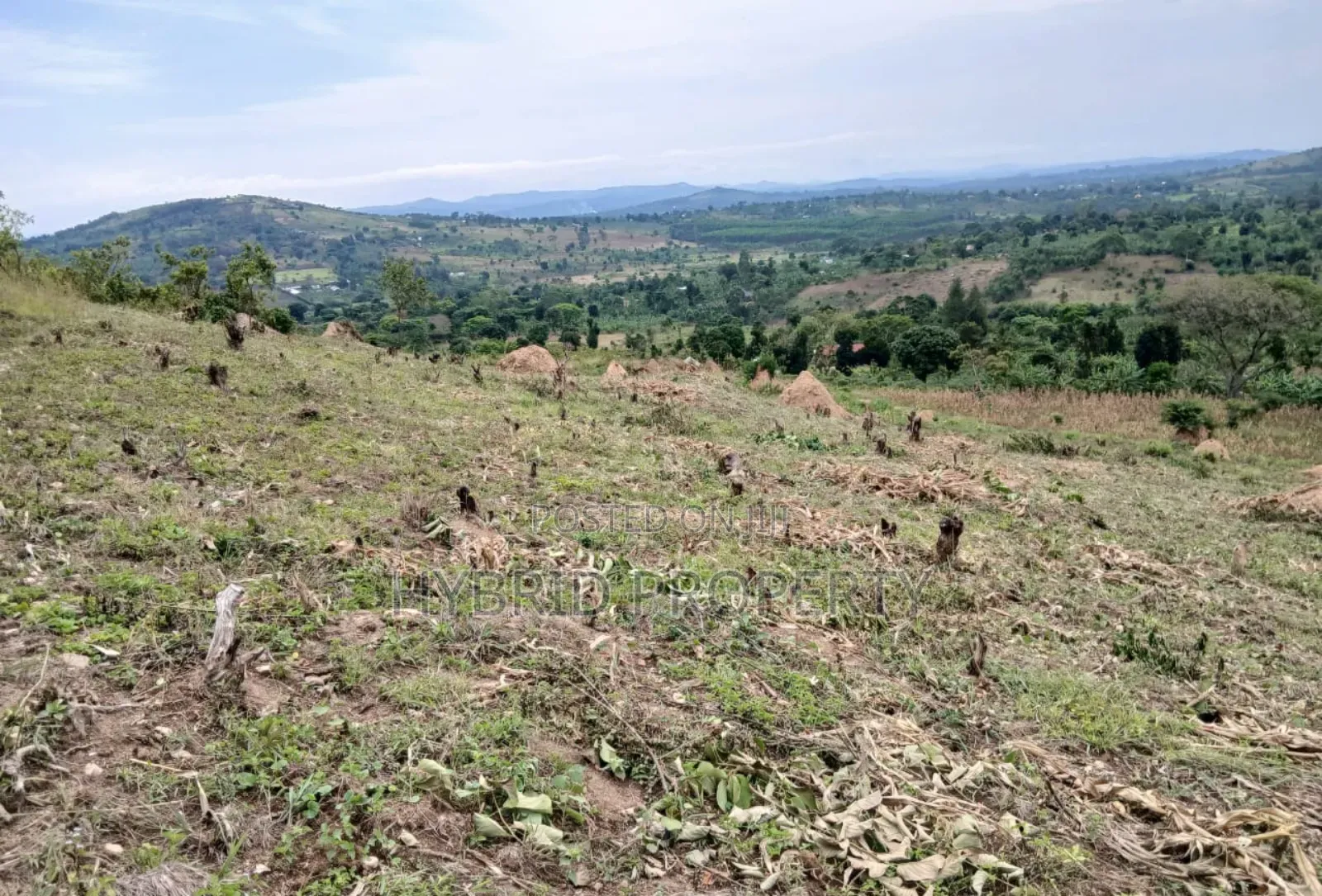 80acres Of Land For Sale At Busunju Hill~Hoima Road [Mityana District] in Ssekanyonyi