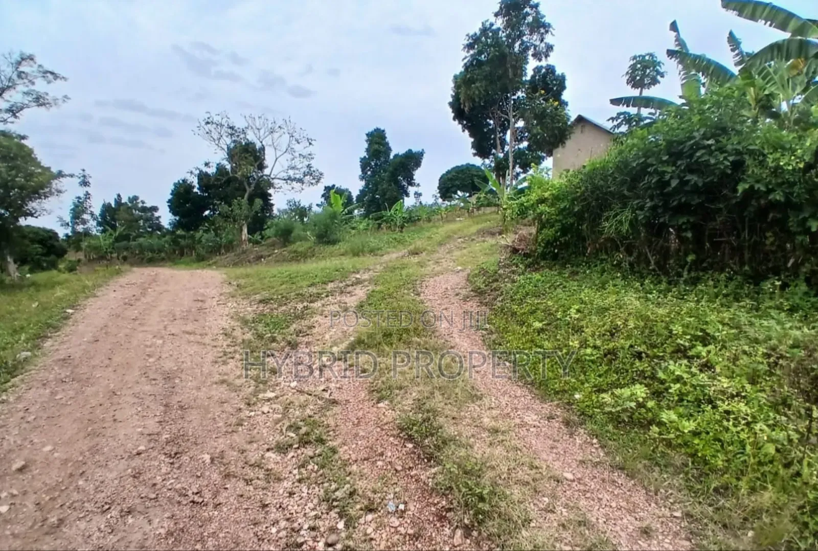 80acres Of Land For Sale At Busunju Hill~Hoima Road [Mityana District] in Ssekanyonyi