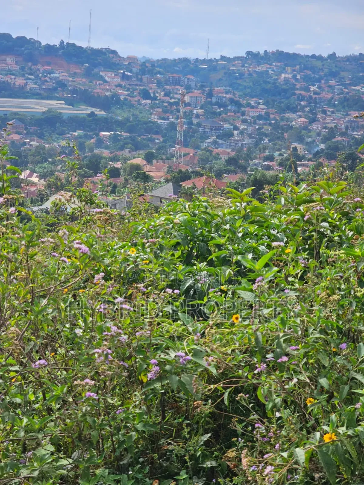 Prime 2acres Of Land For Sale At Bunamwaya Viewing Lubowa~Entebbe Road in Ssabagabo-Makindye
