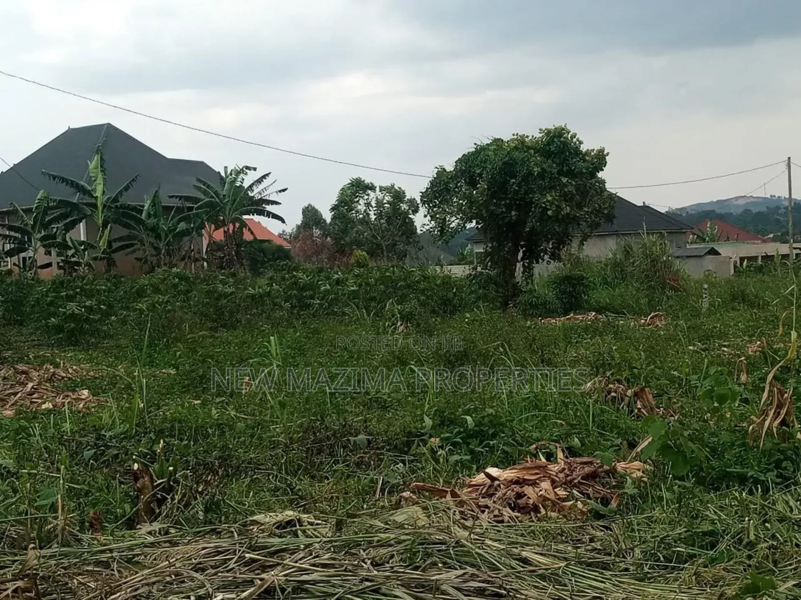 Very Beautiful Plot Equivalent to 100 Ft X 80 Ft Forcedsale With Title in Central Division