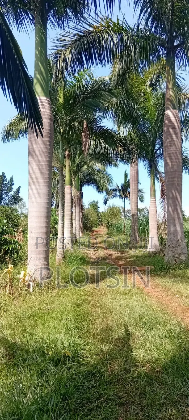 2 Acres on the River Nile With a View of the Water Falls in Jinja