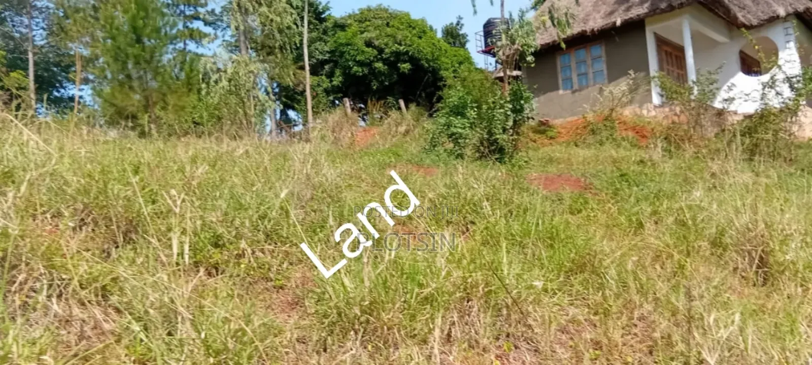 2 Acres on the River Nile With a View of the Water Falls in Jinja