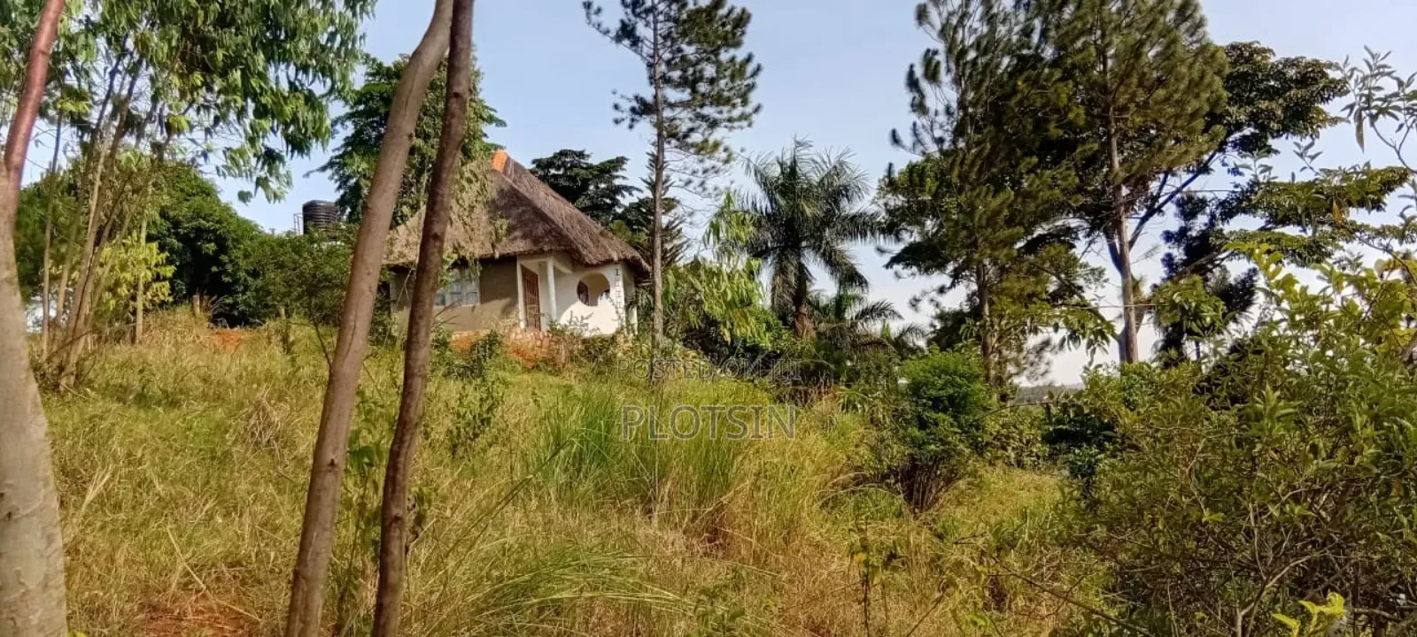 2 Acres on the River Nile With a View of the Water Falls in Jinja