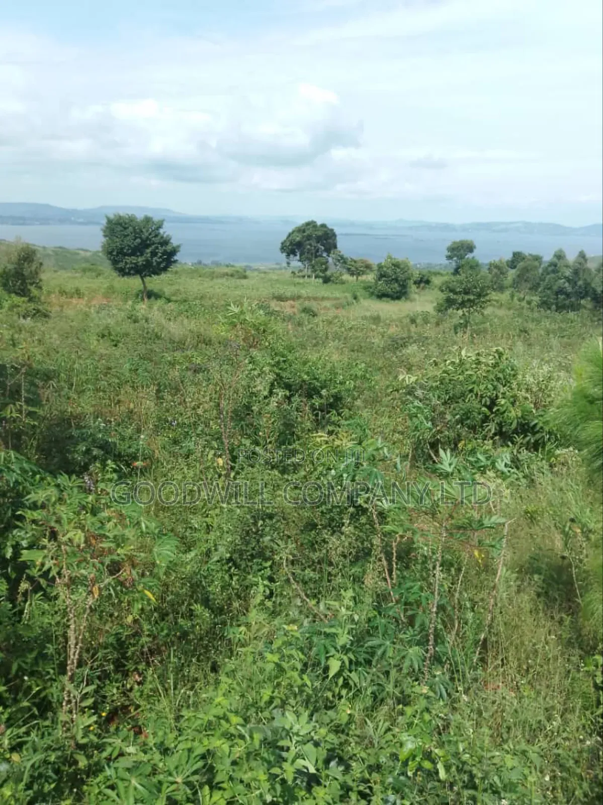 10 Acres to 100 Acres of Land in Nyenga Nkokonjeru in Central Division