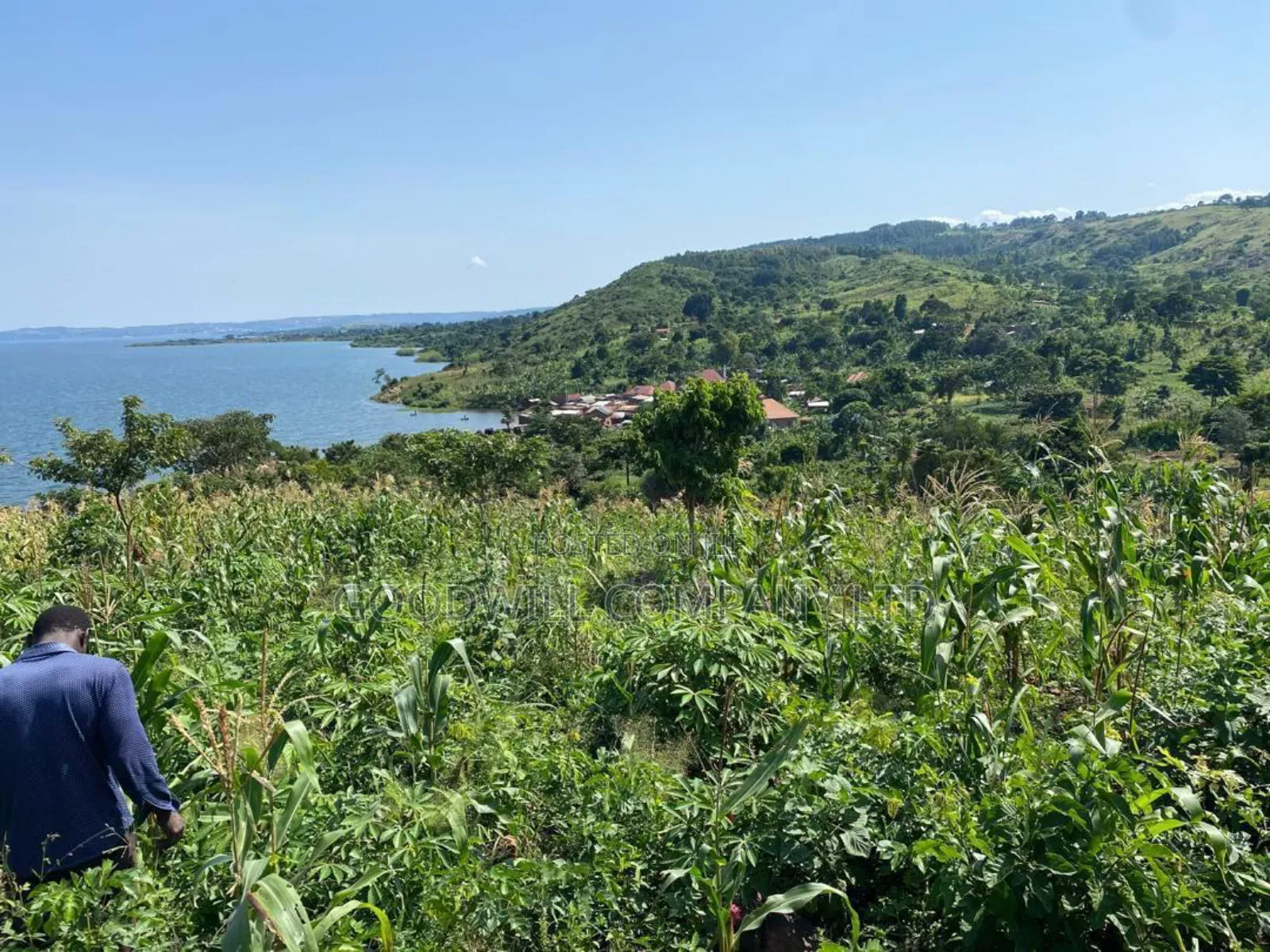 10 Acres to 100 Acres of Land in Nyenga Nkokonjeru in Central Division