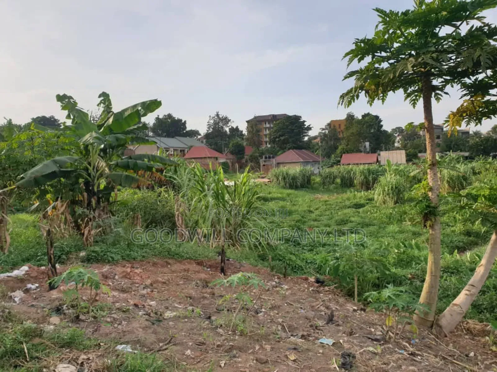 8 Acres of Land in Namugongo Nsawo in Central Division