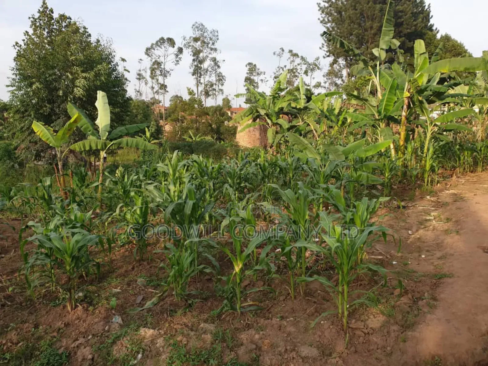 8 Acres of Land in Namugongo Nsawo in Central Division