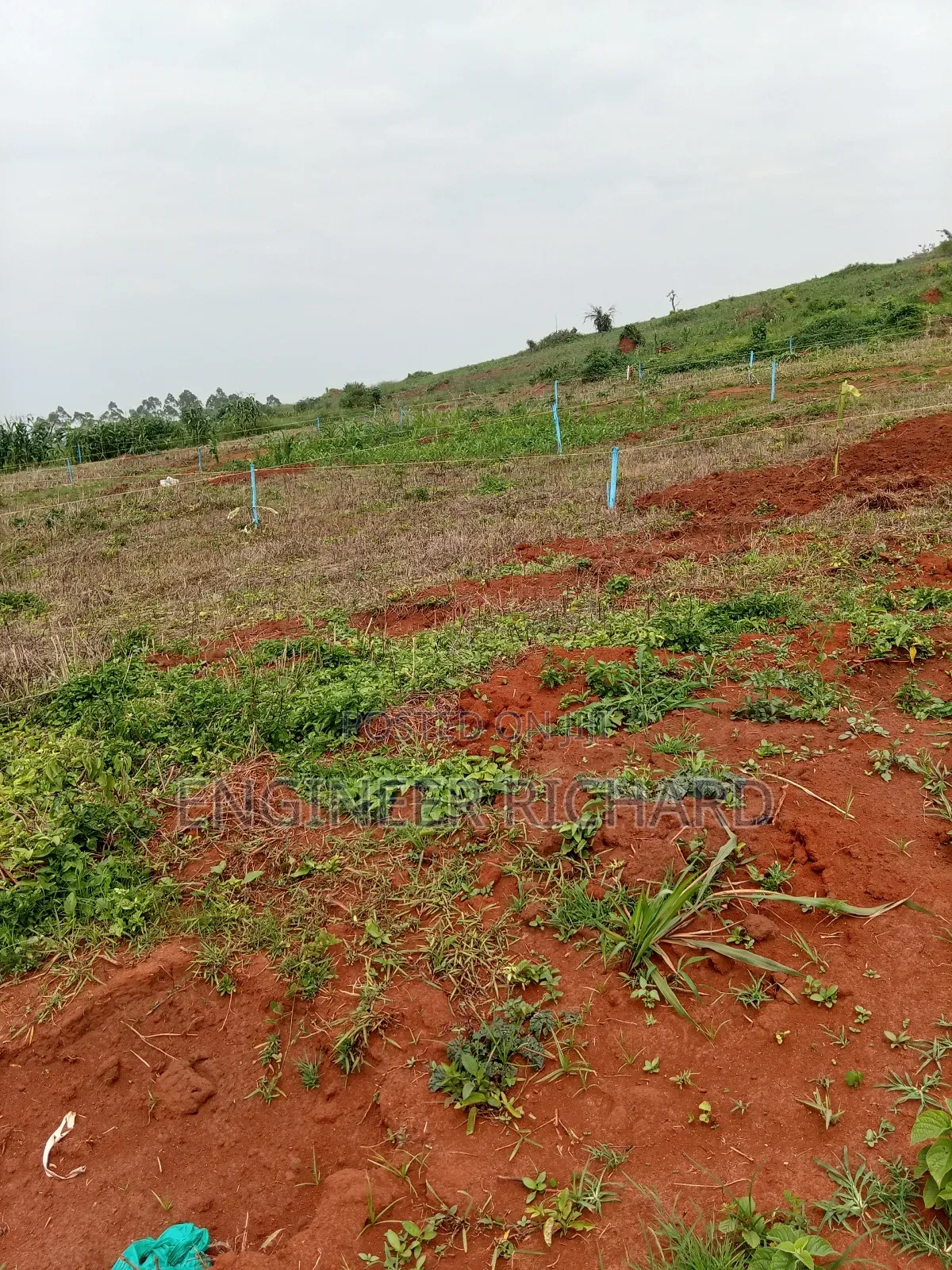 Bukasa Temangaro Prime Estate in Wakiso / Wakiso