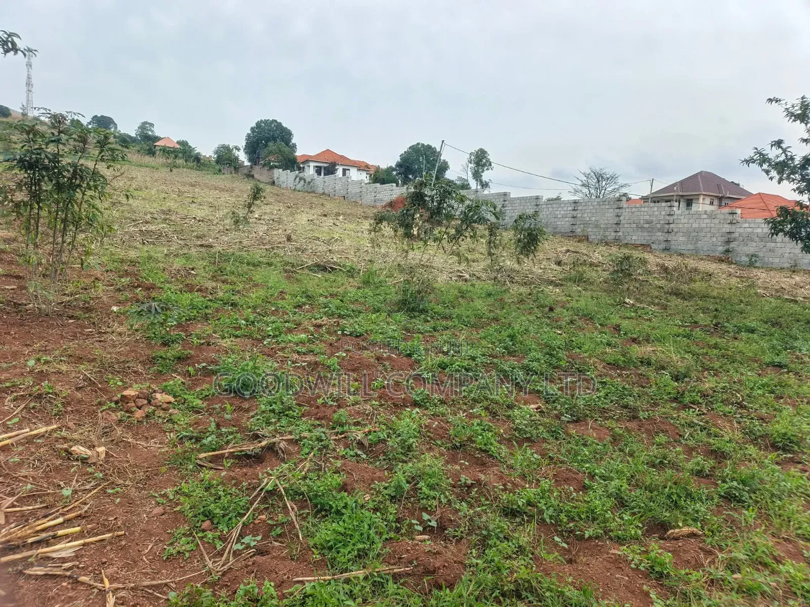 24 Decimals Plot of Land Seeta_gulama Off Jinja Rd in Central Division