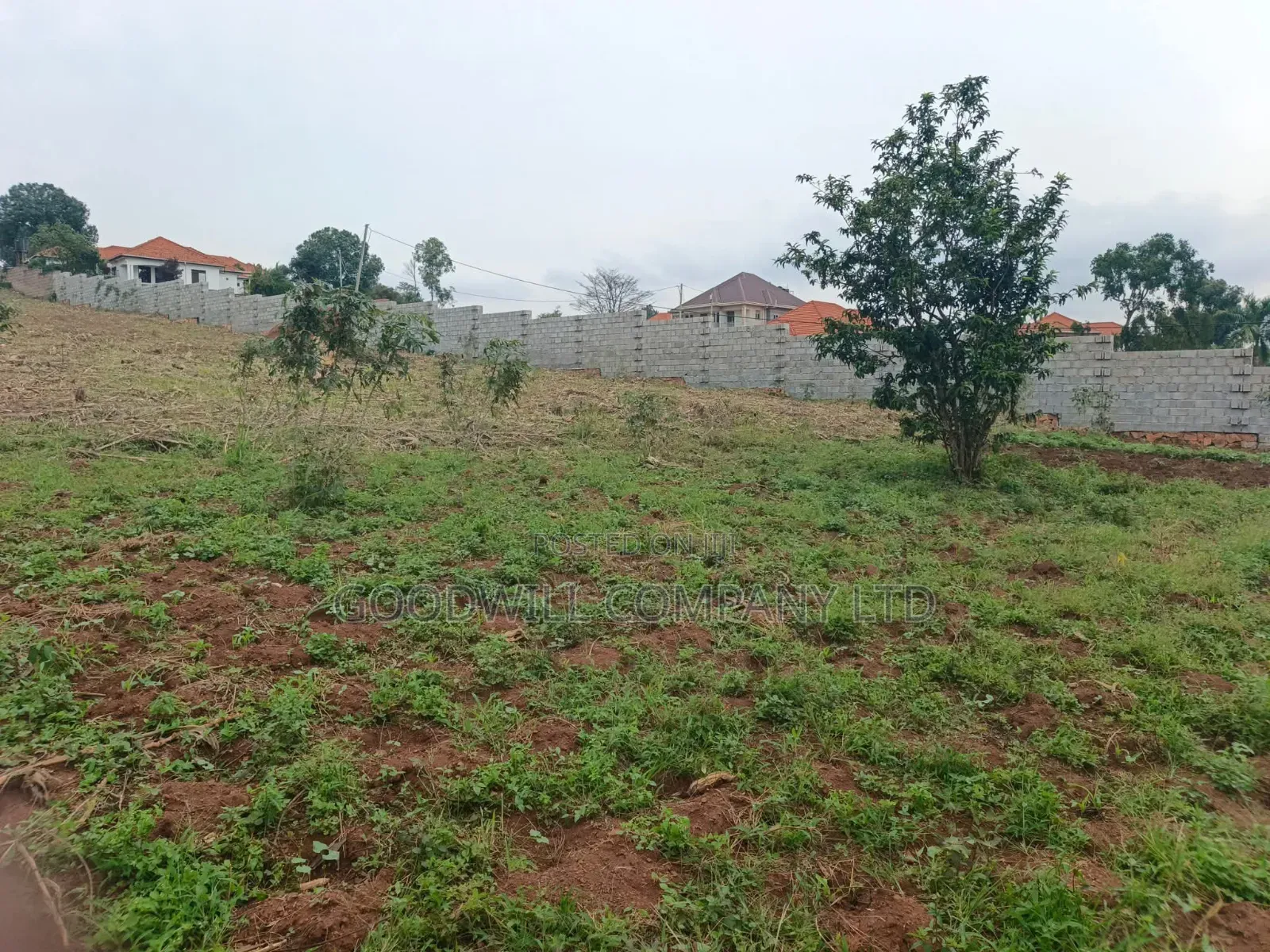 24 Decimals Plot of Land Seeta_gulama Off Jinja Rd in Central Division