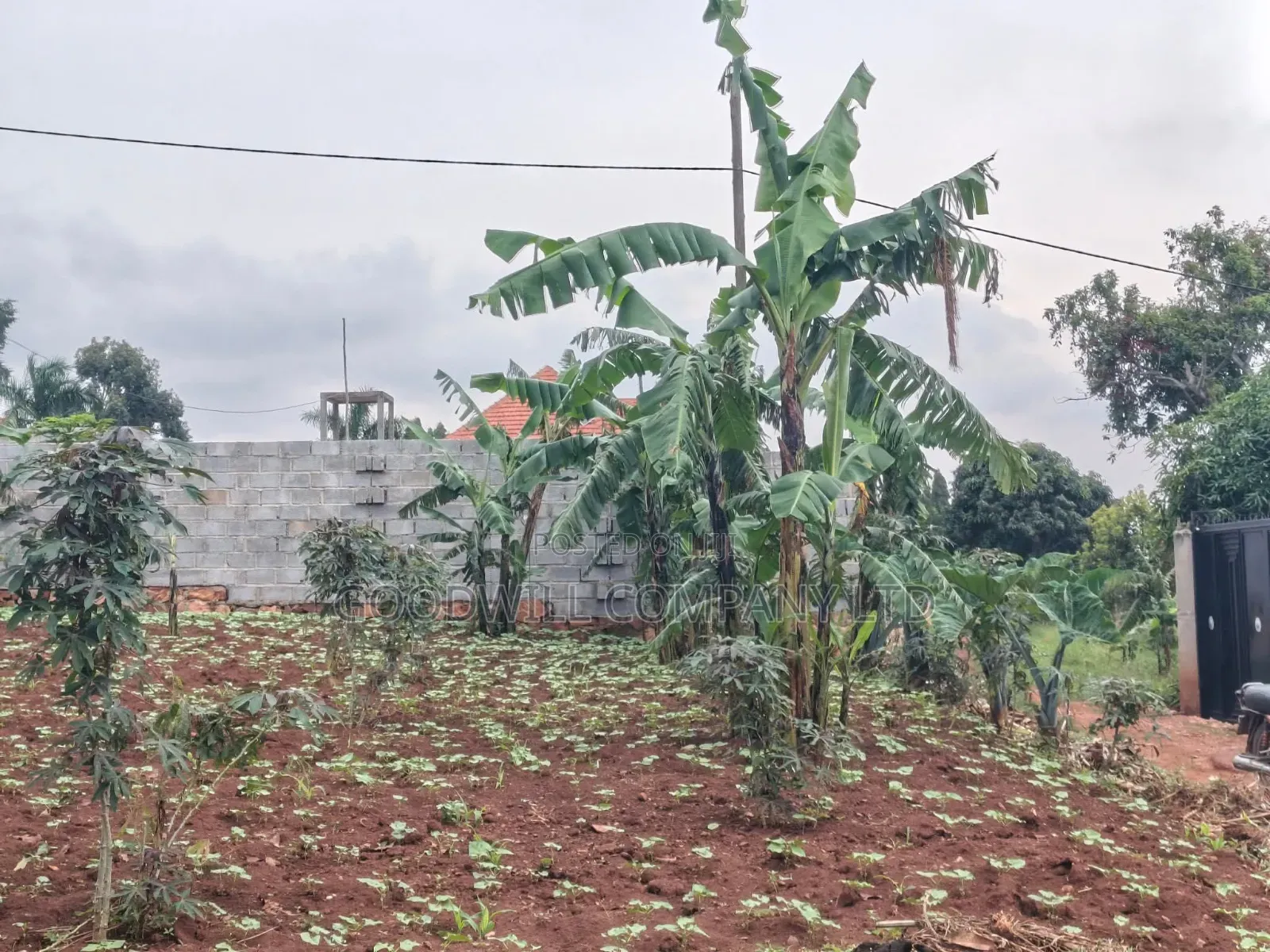 24 Decimals Plot of Land Seeta_gulama Off Jinja Rd in Central Division