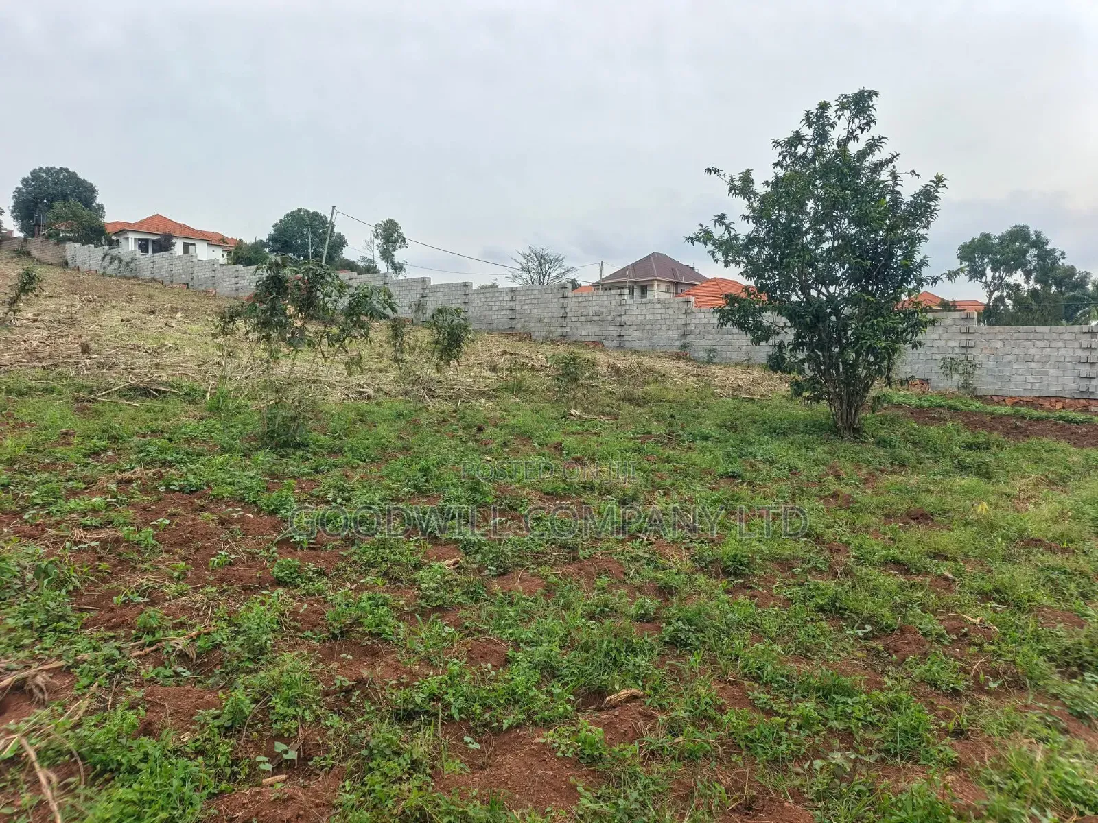 24 Decimals Plot of Land Seeta_gulama Off Jinja Rd in Central Division