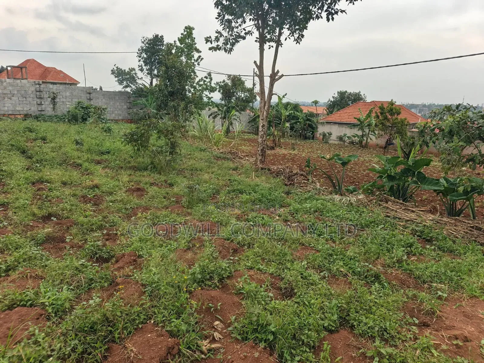 24 Decimals Plot of Land Seeta_gulama Off Jinja Rd in Central Division
