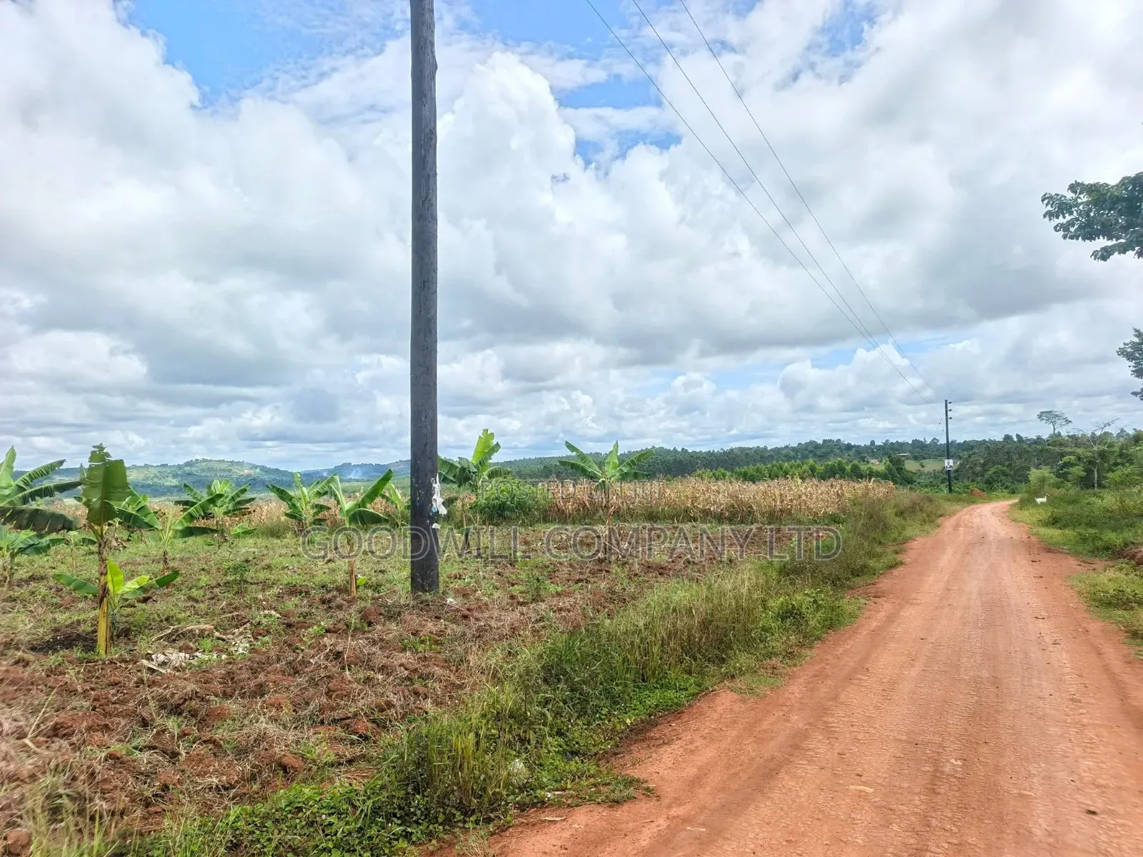 Half Acre Mukono_ntenjeru Bunakijja Village Marram Rd Katosi Rd in Central Division