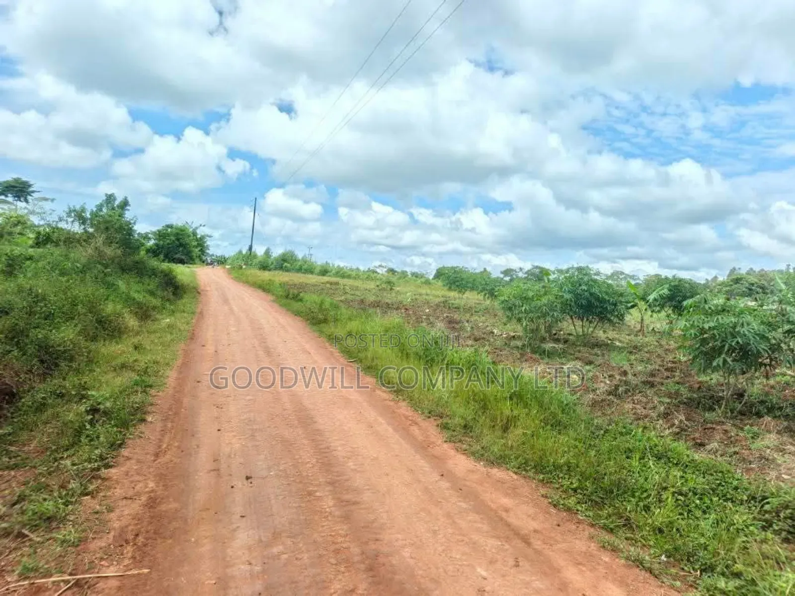 Half Acre Mukono_ntenjeru Bunakijja Village Marram Rd Katosi Rd in Central Division