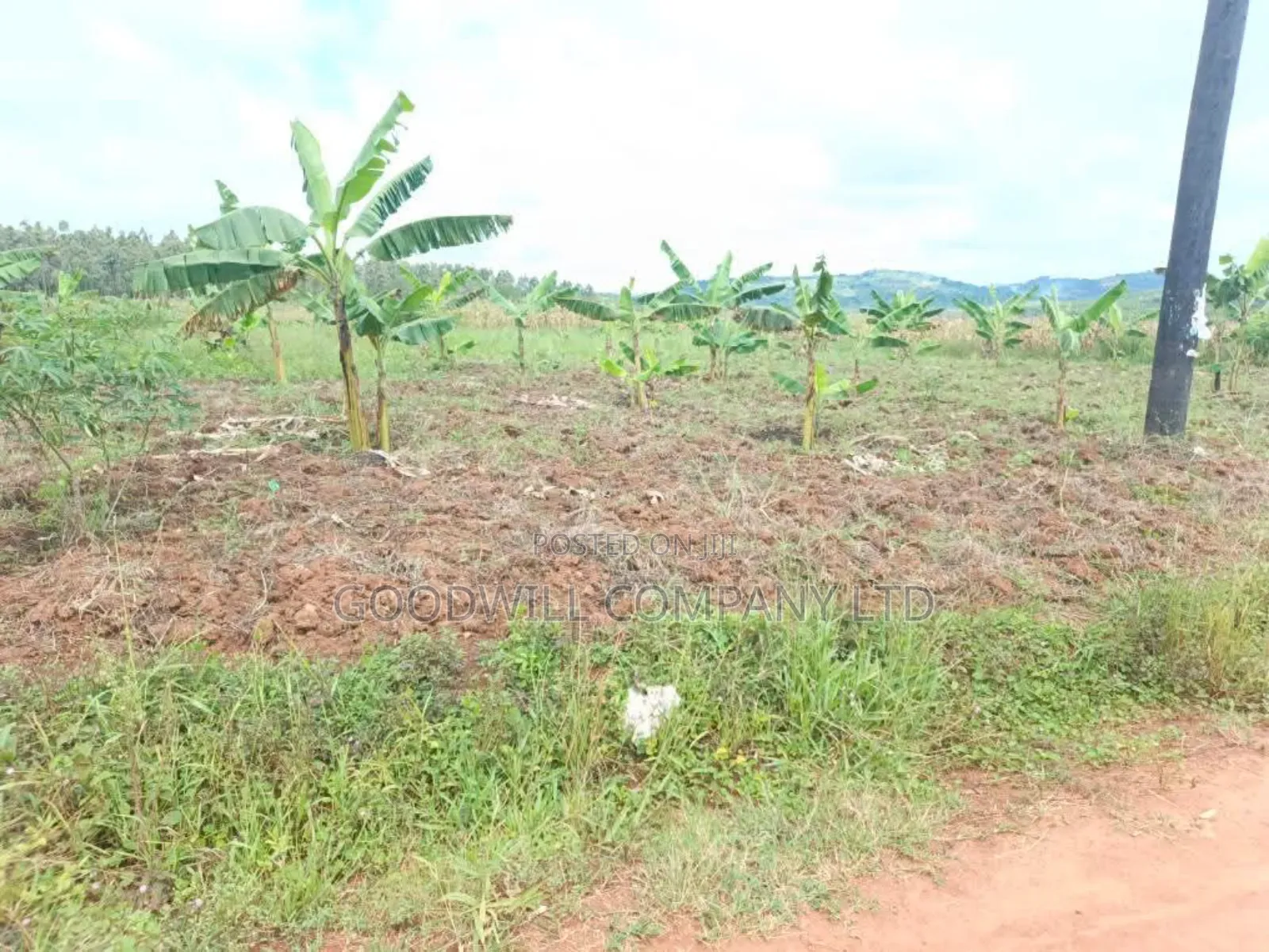 Half Acre Mukono_ntenjeru Bunakijja Village Marram Rd Katosi Rd in Central Division