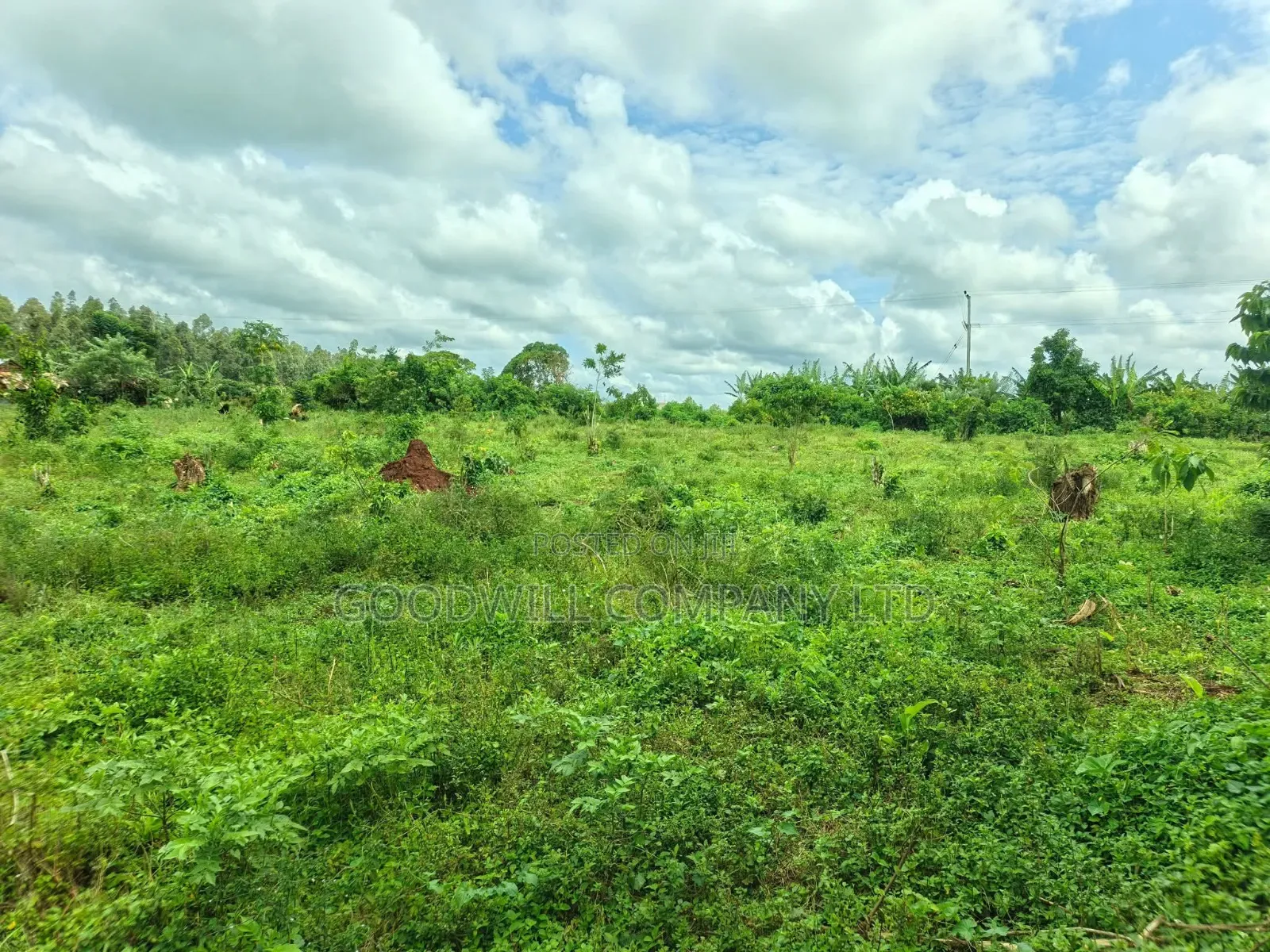 2 Acres of Land at Mukono Ntenjeru Bunakijja Katosi Rd Touching on Rd in Central Division