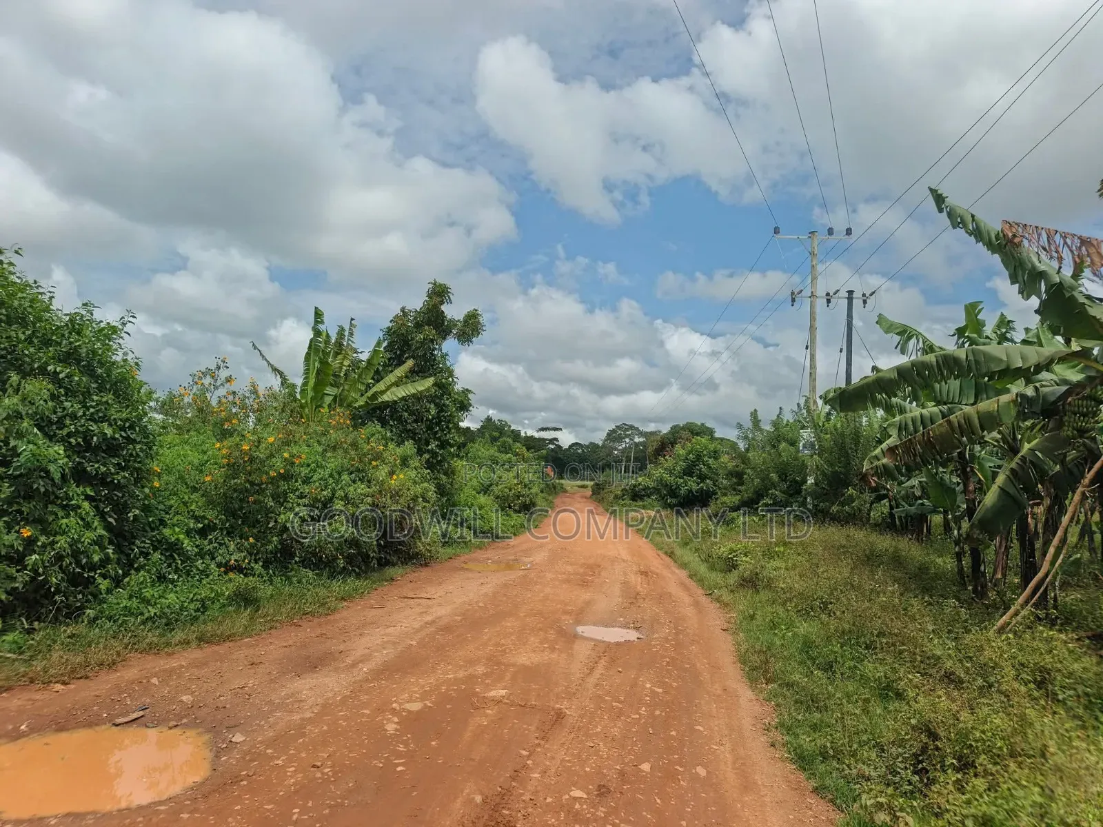 2 Acres of Land at Mukono Ntenjeru Bunakijja Katosi Rd Touching on Rd in Central Division