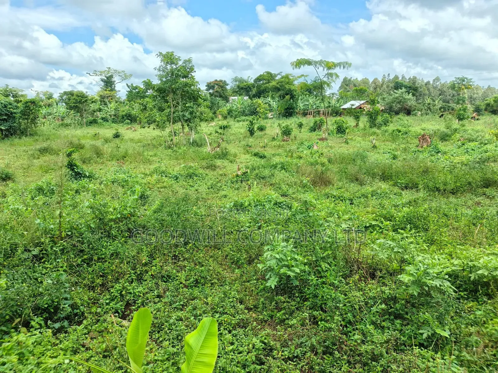2 Acres of Land at Mukono Ntenjeru Bunakijja Katosi Rd Touching on Rd in Central Division