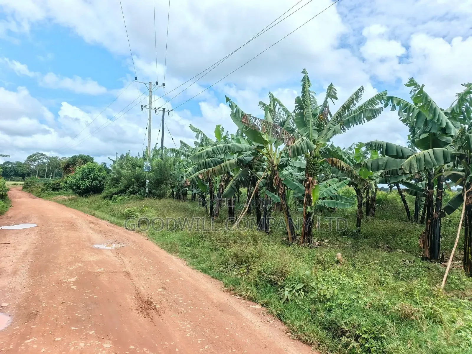 2 Acres of Land at Mukono Ntenjeru Bunakijja Katosi Rd Touching on Rd in Central Division