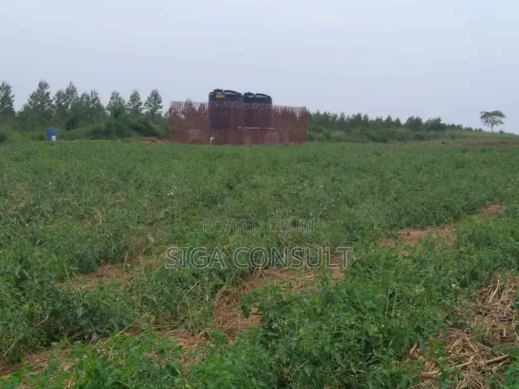 20 Acres of Private Mailo Fenced Farming Land on Sale in Kapeeka in Kamira