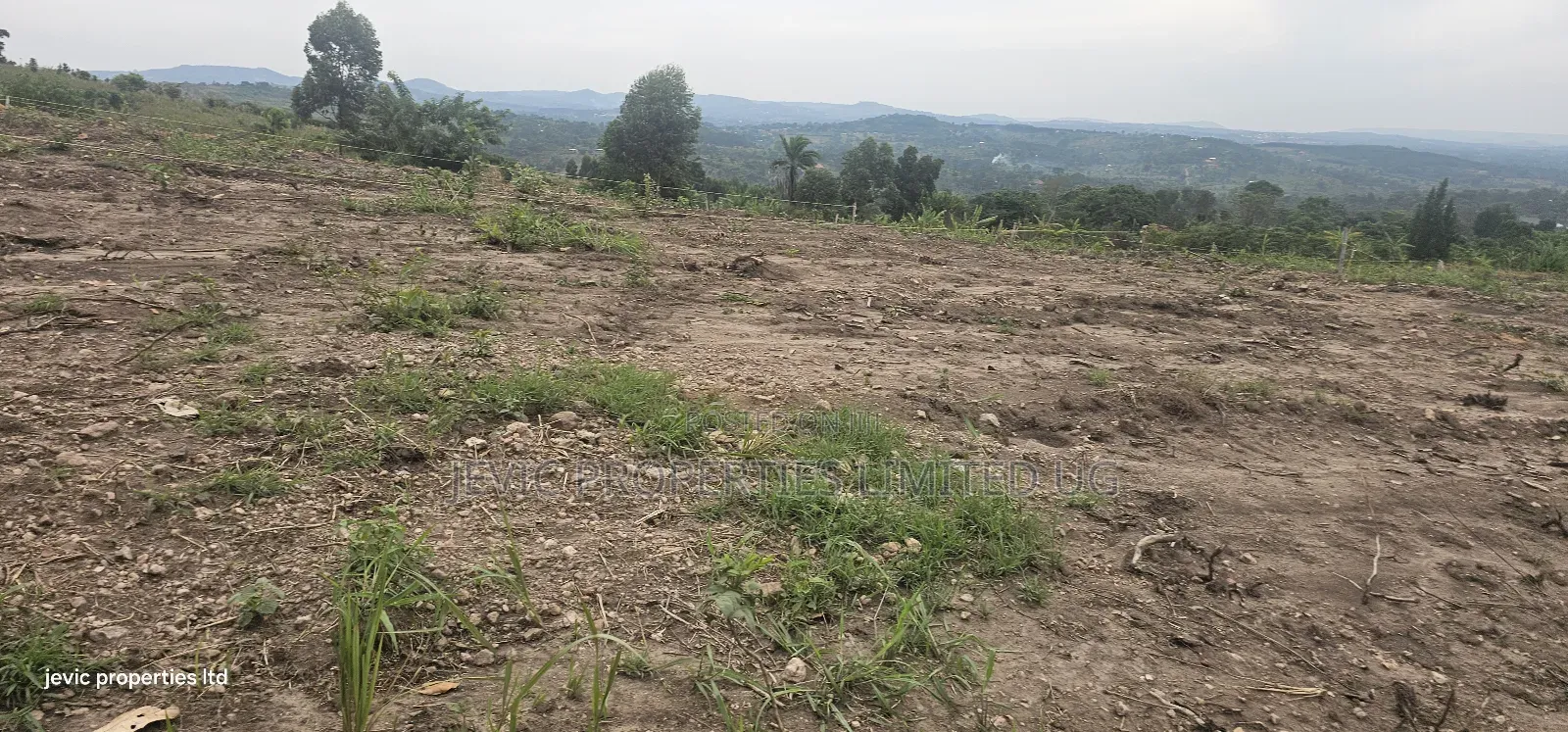 Cheap Agreement For Sale At Kakiri Gobero Hoima Road in Kakiri