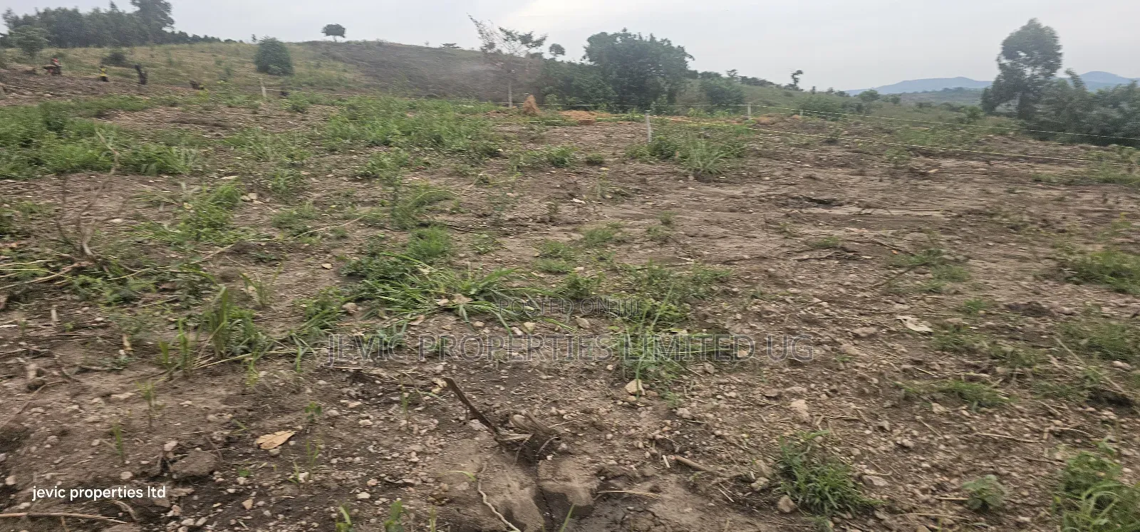 Cheap Agreement For Sale At Kakiri Gobero Hoima Road in Kakiri