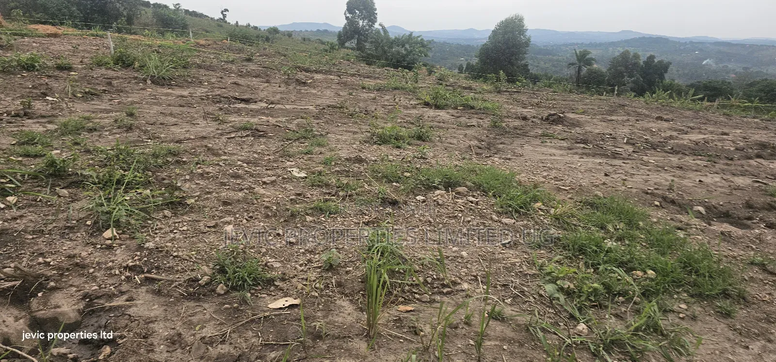 Afew Agreement Plots On Sale At Kakiri- Gobero in Kakiri