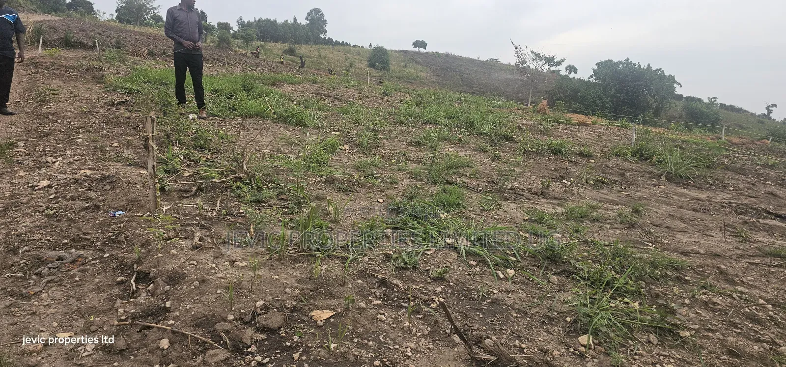 Afew Agreement Plots On Sale At Kakiri- Gobero in Kakiri