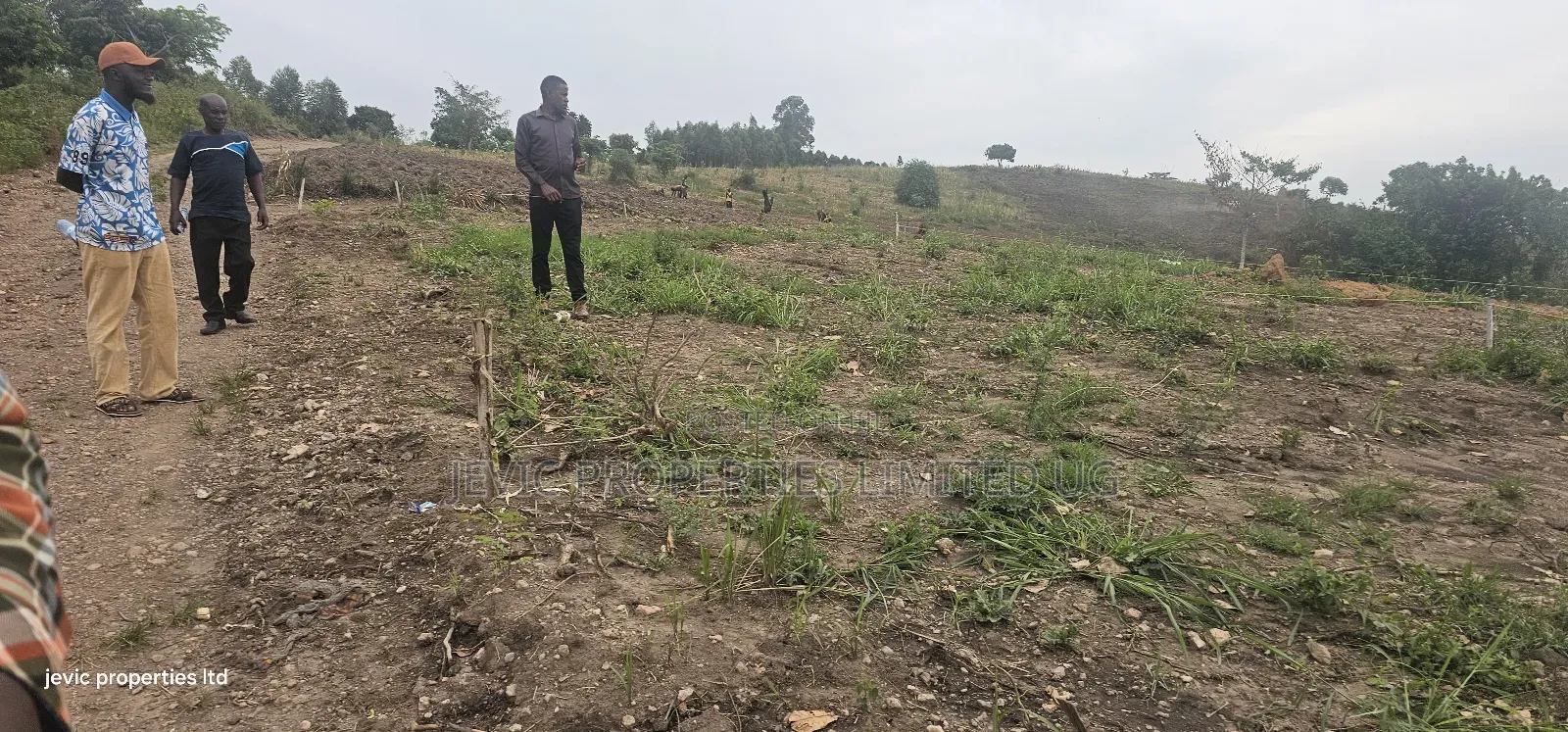 Agreement Estate Plots For Sale At Kakiri Gobero Along Hoima Road. in Kakiri