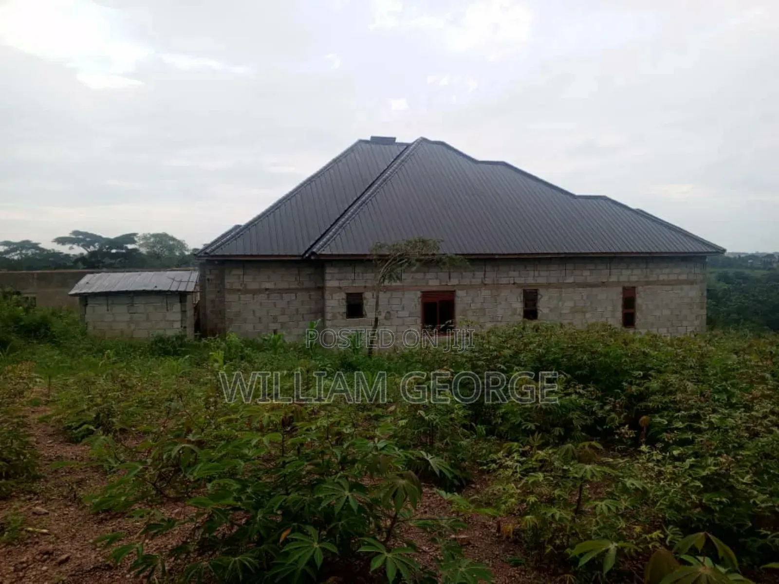 4bdrm House in Banda Estate, Busukuma for sale in Busukuma
