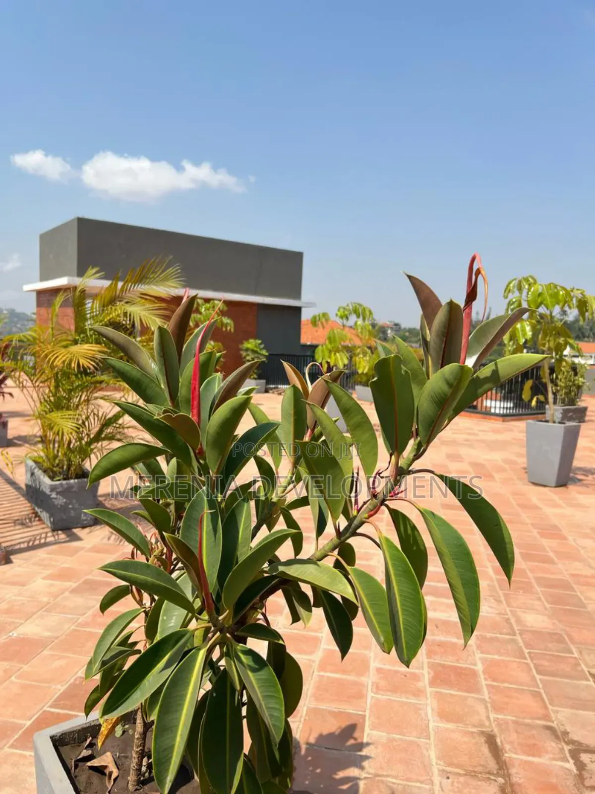 Furnished 1bdrm Apartment in Kiggo, Wakiso / Wakiso for rent in Wakiso / Wakiso