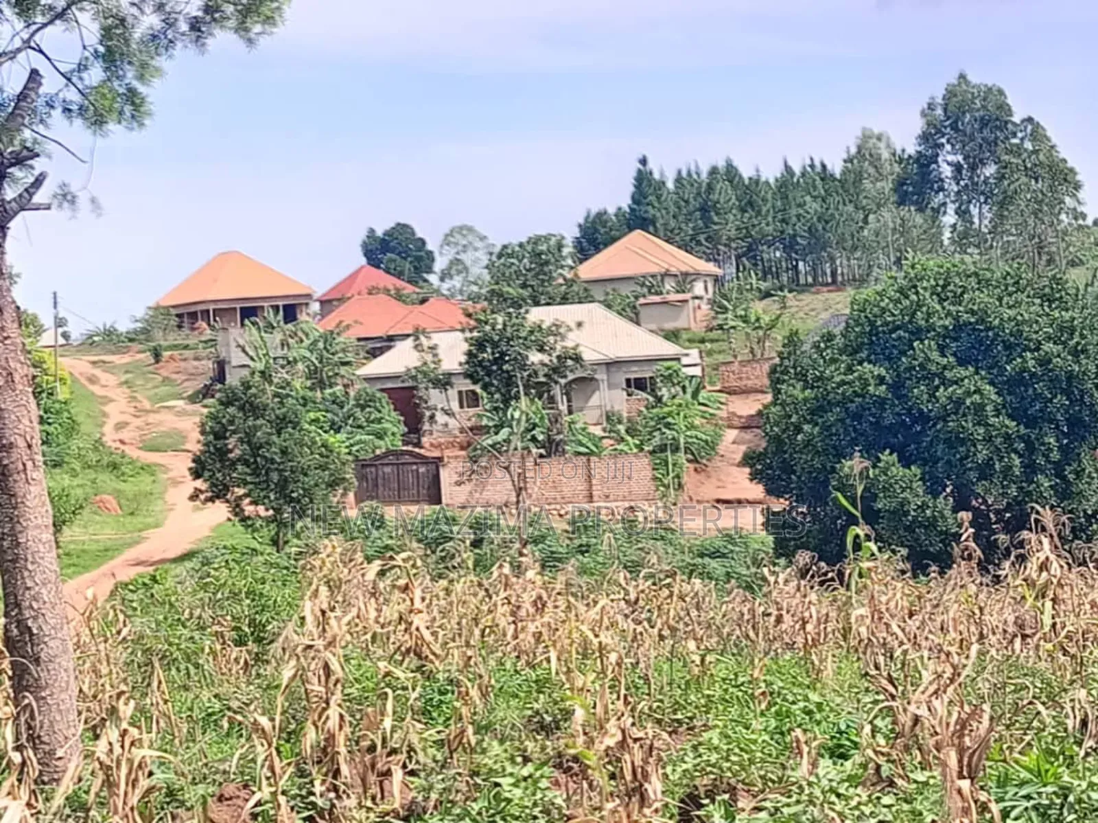 Titled Plot on Quicksale in Heart of Matuga Kavule Town in Central Division