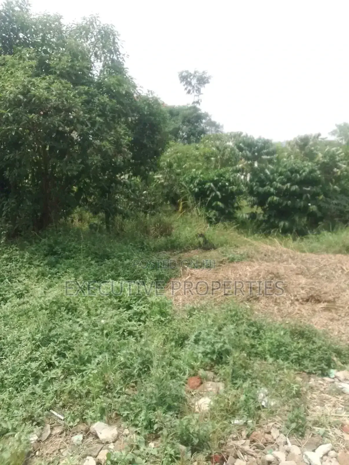 Naalya 100x50 Plot for Sale in Central Division