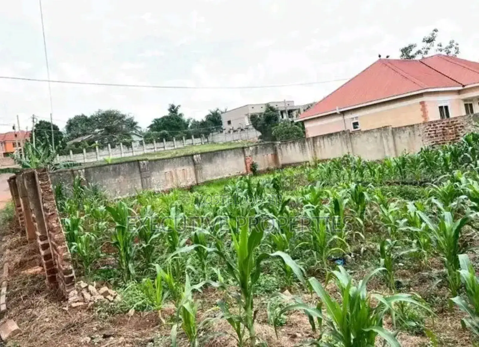 Naalya 100x50 Plot for Sale in Central Division