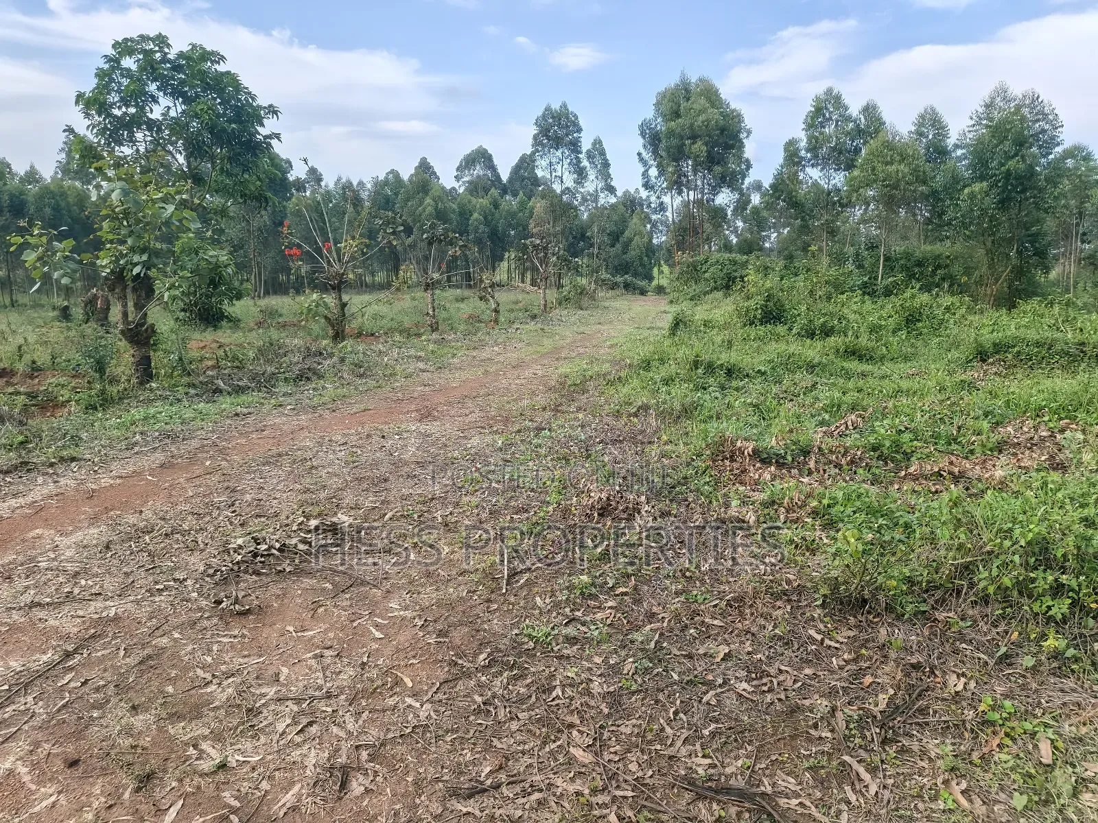 Titled Plots on Sale Located PMK-Kiko Estate Fort Portal City in Kabalore