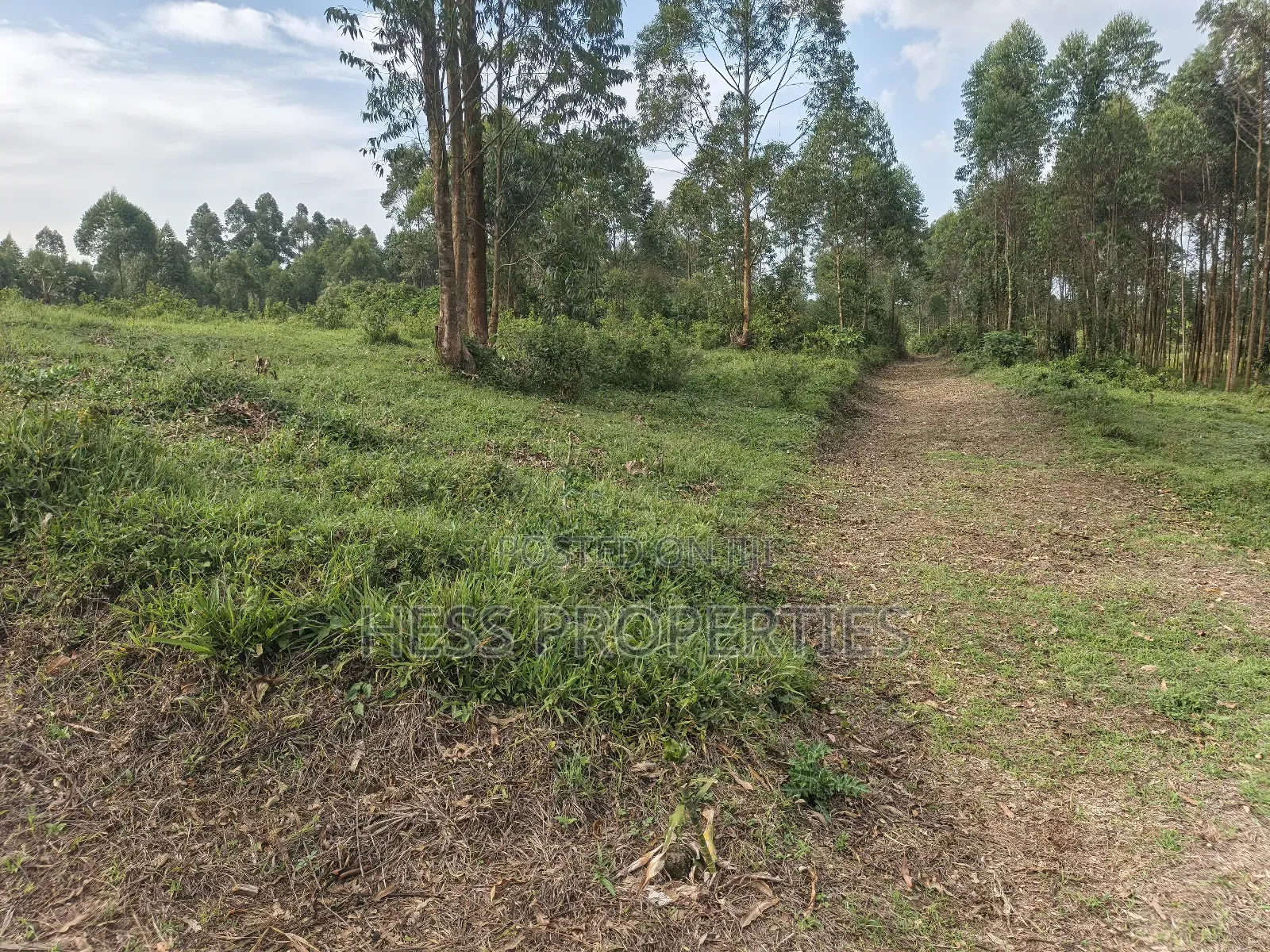 Titled Plots on Sale Located PMK-Kiko Estate Fort Portal City in Kabalore