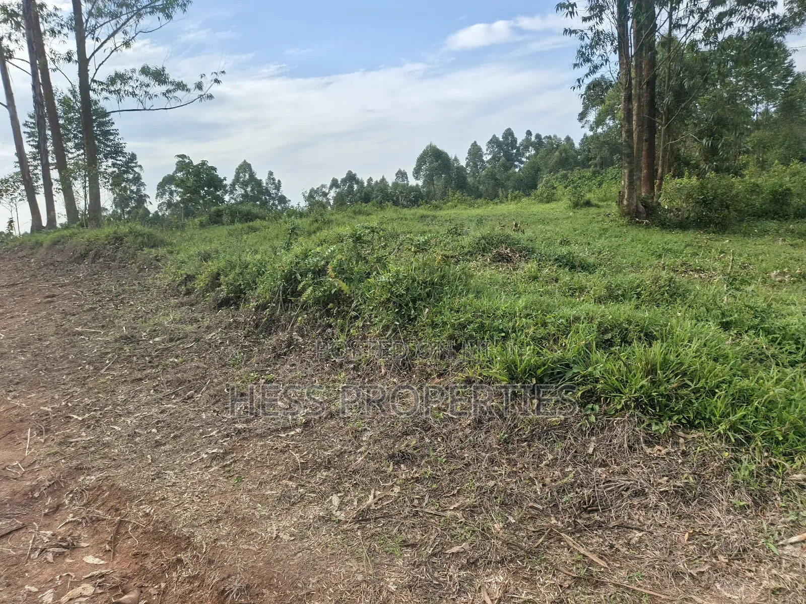 Titled Plots on Sale Located PMK-Kiko Estate Fort Portal City in Kabalore